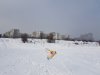 20170122_130100.jpg