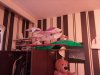 IMG_20170827_200103.jpg