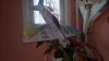 WP_20200125_11_17_53_Pro_LI.jpg