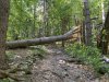 IMG_4684.JPG